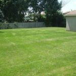 107 Conway Drive Backyard Lawn