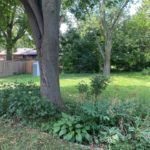 1266 Pinehurst Place Backyard Garden